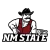 New Mexico St.